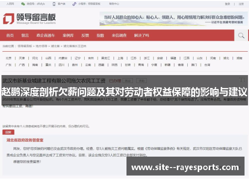 赵鹏深度剖析欠薪问题及其对劳动者权益保障的影响与建议