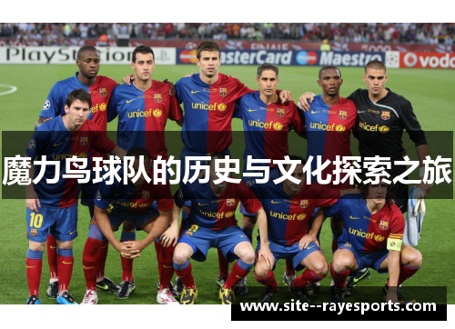 魔力鸟球队的历史与文化探索之旅 魔力鸟球队的历史与文化探索之旅