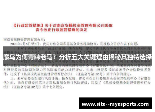 魔鸟为何青睐老马?分析五大关键理由揭秘其独特选择 魔鸟为何青睐老马?分析五大关键理由揭秘其独特选择