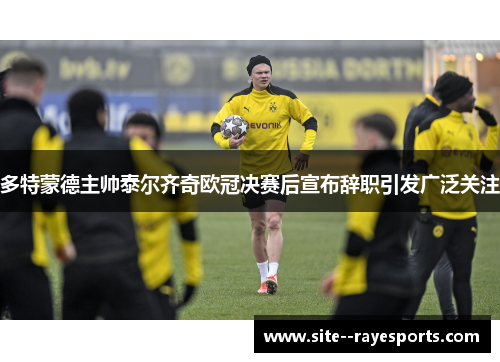 多特蒙德主帅泰尔齐奇欧冠决赛后宣布辞职引发广泛关注