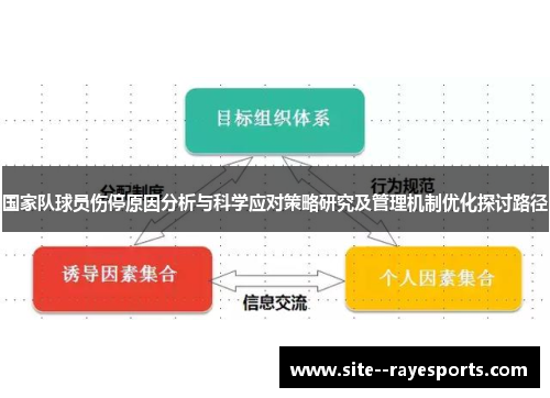 国家队球员伤停原因分析与科学应对策略研究及管理机制优化探讨路径