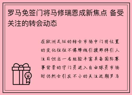 罗马免签门将马修瑞恩成新焦点 备受关注的转会动态